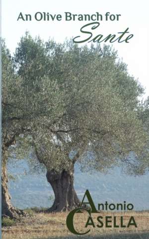 An Olive Branch for Sante de Antonio Casella