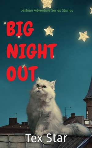 BIG NIGHT OUT de Tex Star