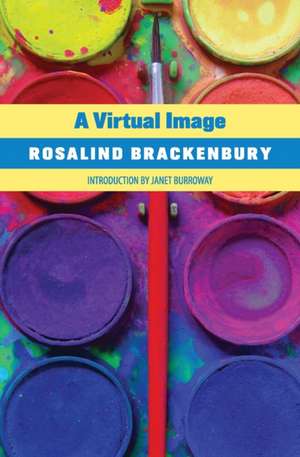 A Virtual Image de Rosalind Brackenbury