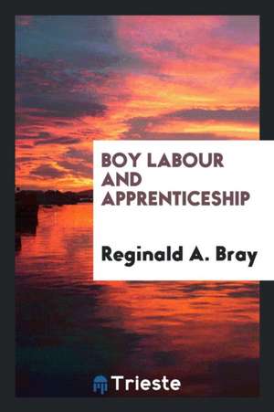 Boy Labour and Apprenticeship de Reginald A. Bray