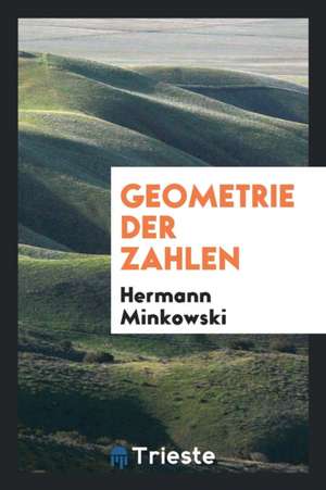 Geometrie Der Zahlen de Hermann Minkowski