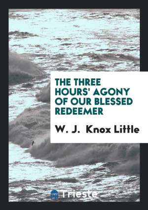 The Three Hours' Agony of Our Blessed Redeemer: Addresses de W. J. Knox Little