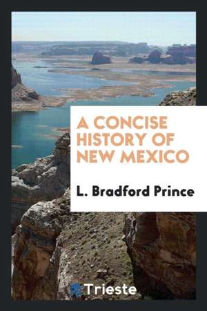 A Concise History of New Mexico de L. Bradford Prince