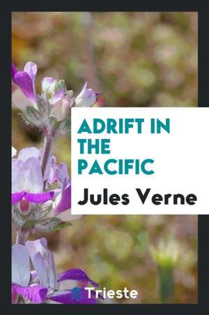 Adrift in the Pacific de Jules Verne