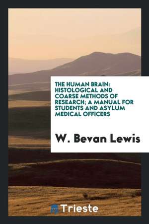 The human brain de W. Bevan Lewis