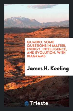 Quaero. Some Questions in Matter, Energy, Intelligence, and Evolution. with Diagrams de James H. Keeling