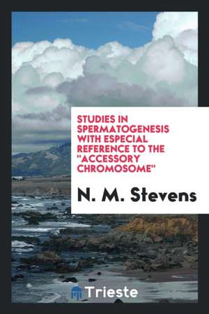 Studies in Spermatogenesis with Especial Reference to the "accessory Chromosome" de N. M. Stevens