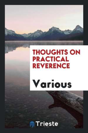 Thoughts on Practical Reverence de Various