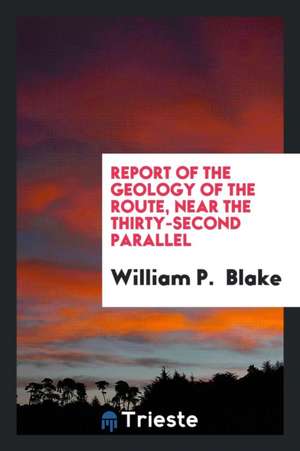 Report of the Geology of the Route, Near the Thirty-Second Parallel de William P. Blake