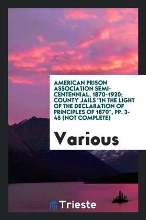 American Prison Association Semi-Centennial, 1870-1920; County Jails in the Light of the Declaration of Principles of 1870, Pp. 3-45 (Not Complete) de Various