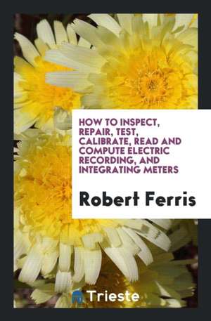 How to Inspect, Repair, Test, Calibrate, Read and Compute Electric Recording, and Integrating Meters de Robert Ferris