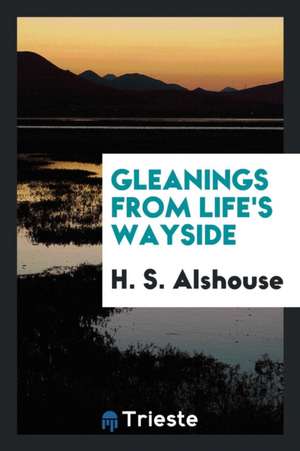 Gleanings from Life's Wayside de H. S. Alshouse