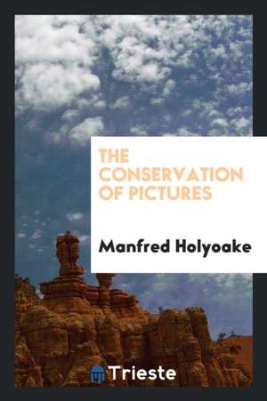 The Conservation of Pictures de Manfred Holyoake