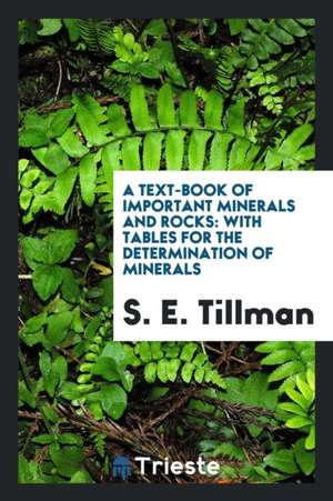 A Text-Book of Important Minerals and Rocks: With Tables for the Determination of Minerals de S. E. Tillman