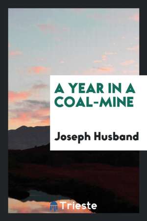 A Year in a Coal-Mine de Joseph Husband