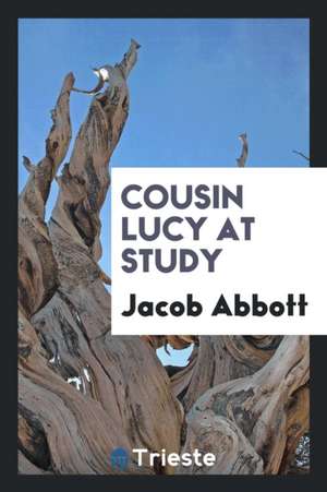 Cousin Lucy at Study de Jacob Abbott