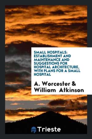 Small Hospitals: Establishment and Maintenance de A. Worcester