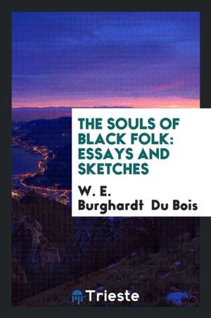 The Souls of Black Folk: Essays and Sketches de W. E. Burghardt Du Bois