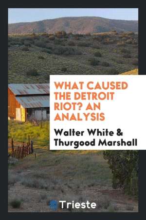 What Caused the Detroit Riot?: An Analysis de Walter White