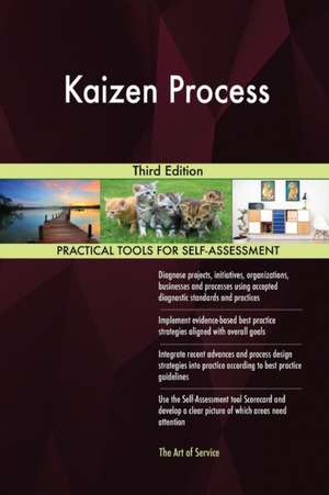 Kaizen Process Third Edition de Gerardus Blokdyk