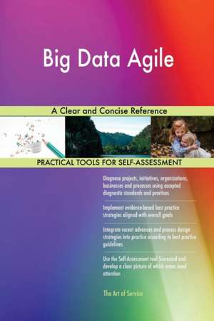 Big Data Agile A Clear and Concise Reference de Gerardus Blokdyk