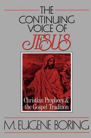 The Continuing Voice of Jesus de M. Eugene Boring