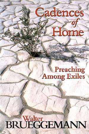 Cadences of Home de brueggemann