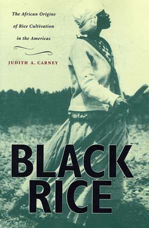 Black Rice – The African Origins of Rice Cultivation in the Americas de Judith A Carney