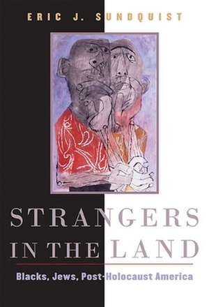 Strangers in the Land – Blacks, Jews, Post– Holocaust America de Eric J Sundquist