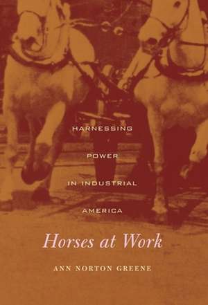 Horses at Work – Harnessing Power in Industrial America de Ann Greene