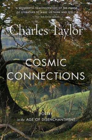 Cosmic Connections de Charles Taylor