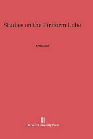 Studies on the Piriform Lobe de F. Valverde