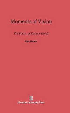 Moments of Vision de Paul Zietlow