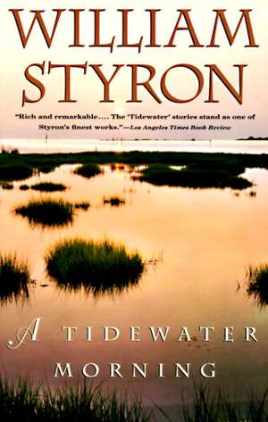 A Tidewater Morning de William Styron