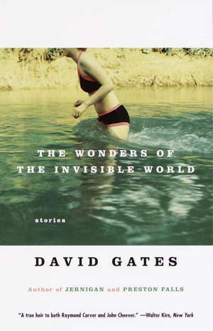 The Wonders of the Invisible World de David Gates