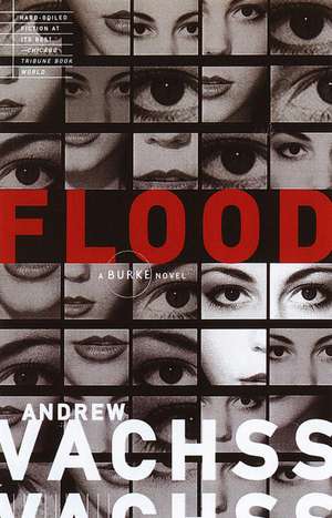 Flood de Andrew H. Vachss