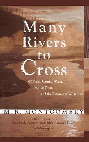 Many Rivers to Cross de M. R. Montgomery