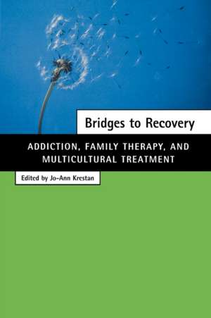 Bridges to Recovery de Jo-Ann Krestan