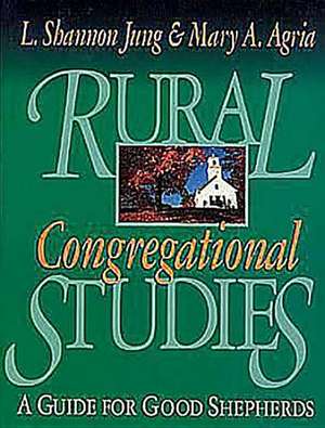 Rural Congregational Studies de Shannon Jung