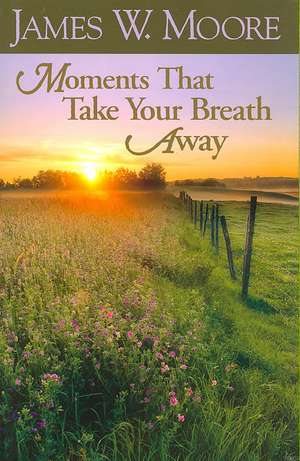 Moments That Take Your Breath Away de James W. Moore