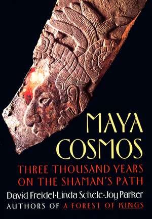 Maya Cosmos de David Freidel