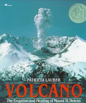 Lauber, P: Volcano
