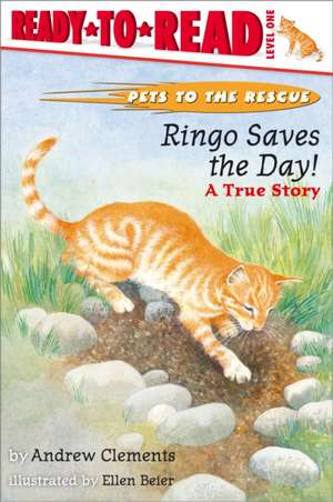 Ringo Saves the Day!: Ringo Saves the Day! de Andrew Clements