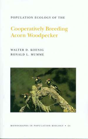 Population Ecology of the Cooperatively Breeding Acorn Woodpecker. (MPB–24), Volume 24 de Walter D. Koenig