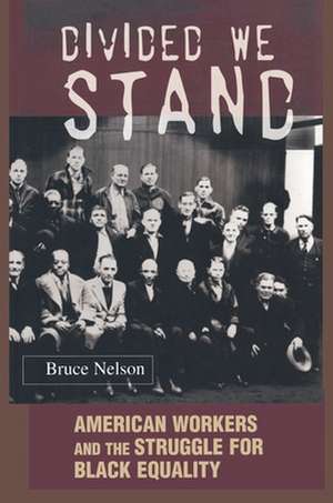 Divided We Stand – American Workers and the Struggle for Black Equality de Bruce Nelson