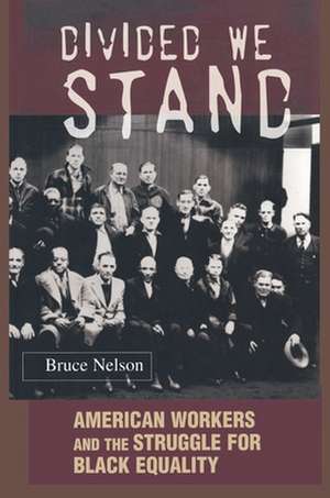 Divided We Stand de Bruce Nelson