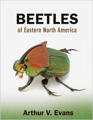 Beetles of Eastern North America de Arthur V. Evans