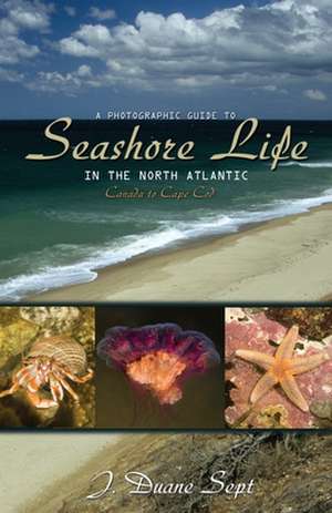 A Photographic Guide to Seashore Life in the North Atlantic – Canada to Cape Cod de J. Duane Sept