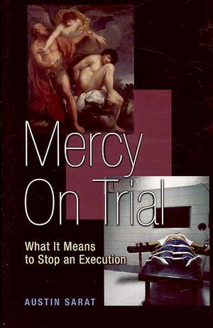 Mercy on Trial – What It Means to Stop an Execution de Austin Sarat