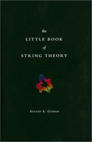 The Little Book of String Theory de Steven S. Gubser